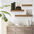 Corrabel Ridged Floating Accent Shelves Set of 3