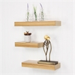 Corrabel Ridged Floating Accent Shelves Set of 3