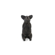 Harveston Cast Iron Sitting Pig