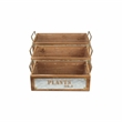 Quillen Set of 3 Garden Themed Wood Crates