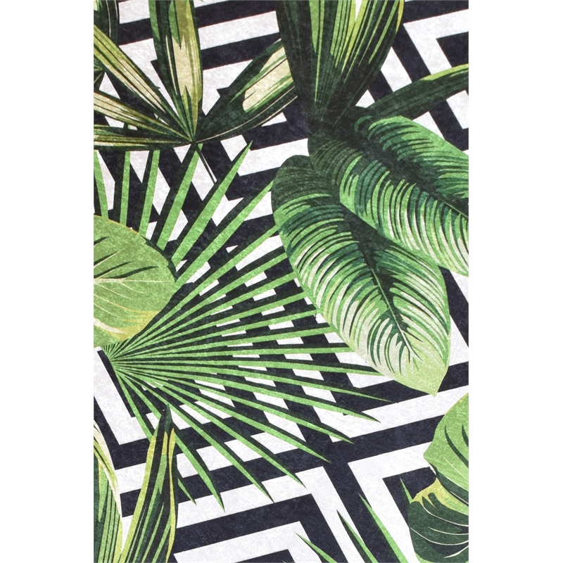ASIR Conceptum (100 x 300) Hypnose Tropic Djt Hall Carpet in Multi-Color