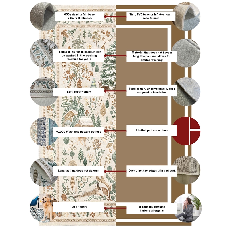 ASIR Conceptum (180 x 280) Hypnose Els1800 Carpet in Multi-Color