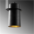 ASIR Opviq Spot - 2901 Black Chandelier