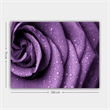 ASIR Wallity 12504194370100 Multicolor Decorative Canvas Painting