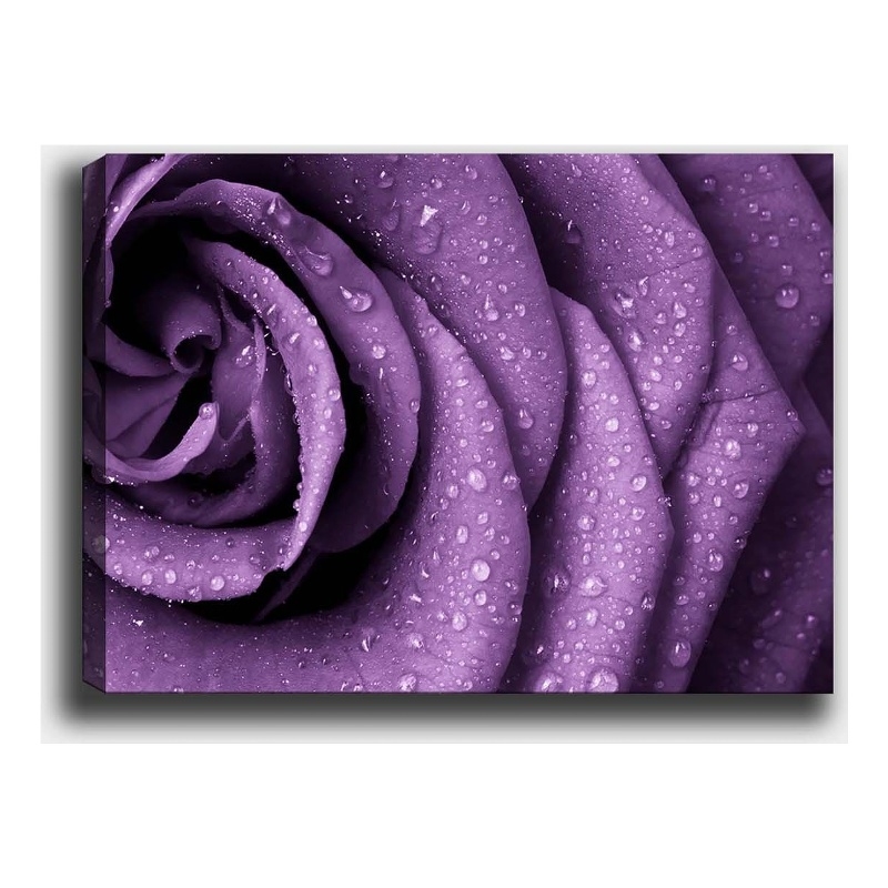 ASIR Wallity 12504194370100 Multicolor Decorative Canvas Painting