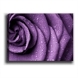 ASIR Wallity 12504194370100 Multicolor Decorative Canvas Painting