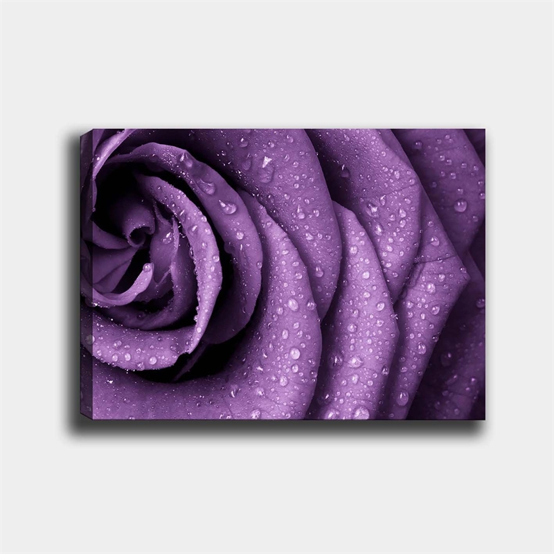 ASIR Wallity 12504194370100 Multicolor Decorative Canvas Painting