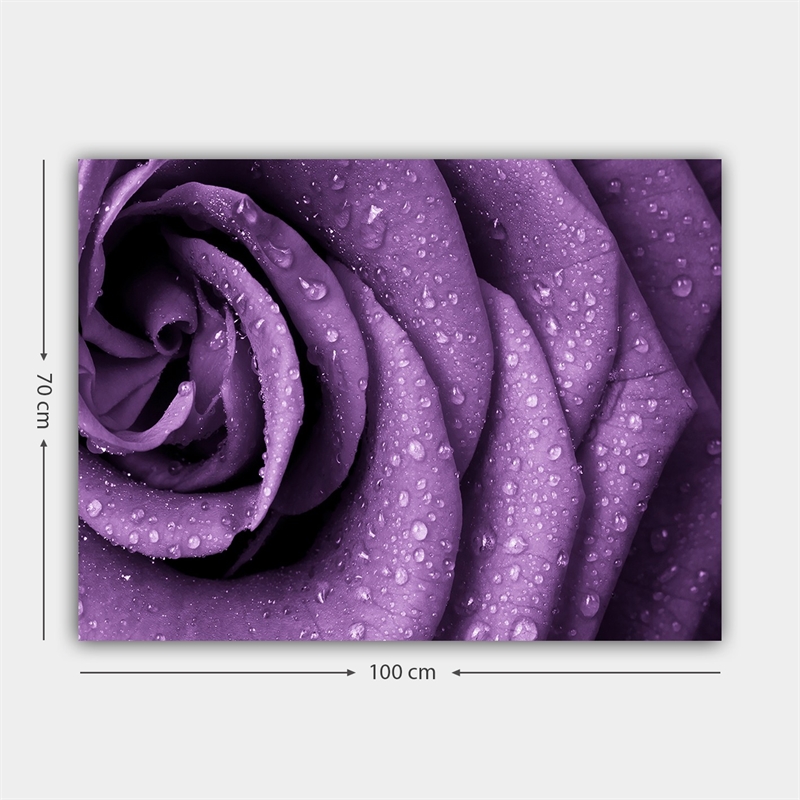 ASIR Wallity 12504194370100 Multicolor Decorative Canvas Painting