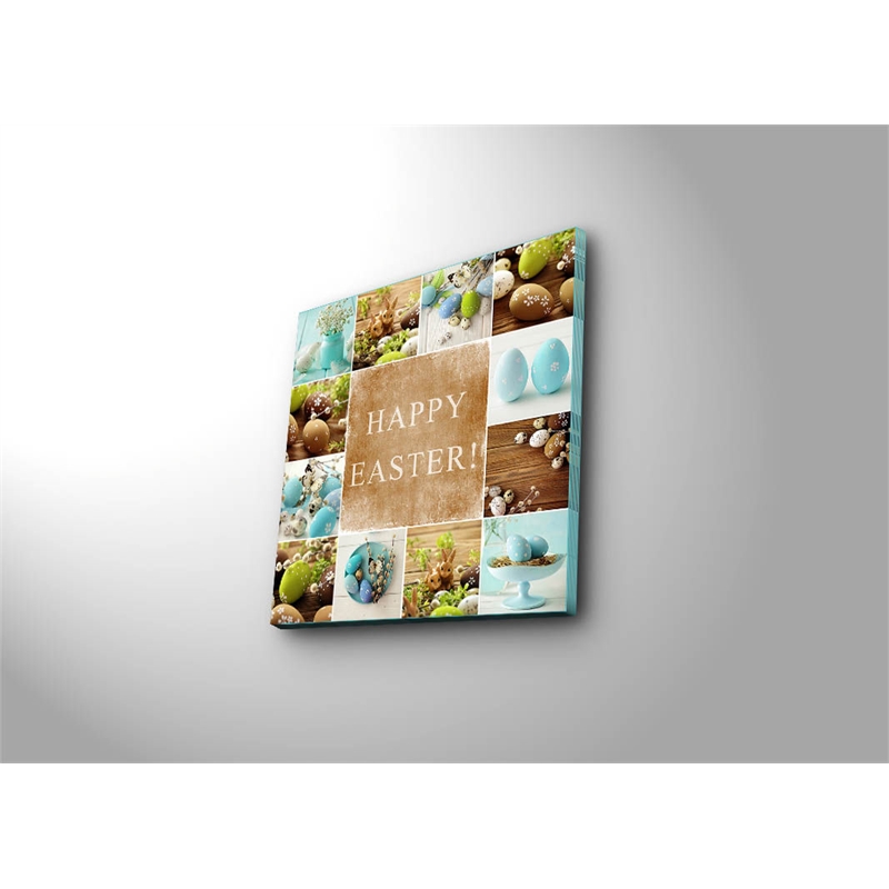 ASIR Wallity EASC-21 Multicolor Decorative Canvas Painting