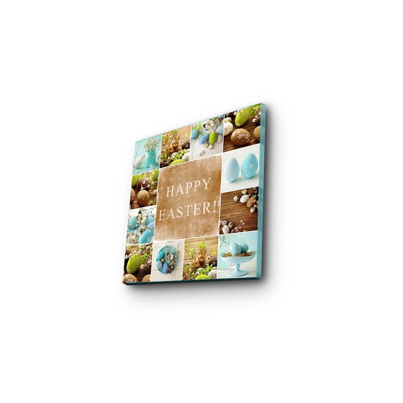 ASIR Wallity EASC-21 Multicolor Decorative Canvas Painting