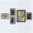 ASIR Wallity SET066 Multicolor Decorative Framed MDF Painting