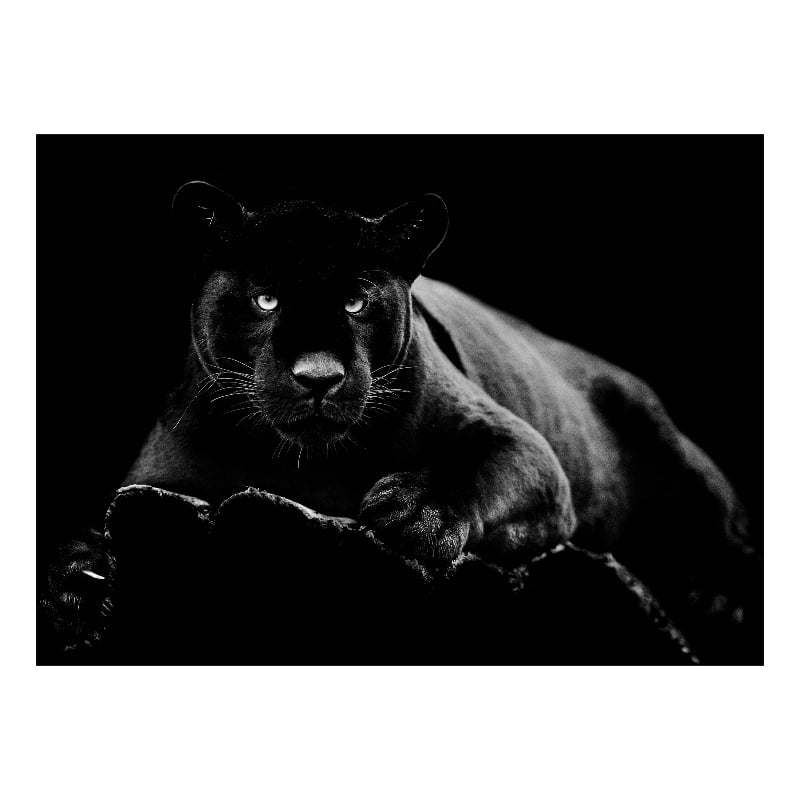 Black Panther Frameless Multi-Color Tempered Glass Wall Art - 60