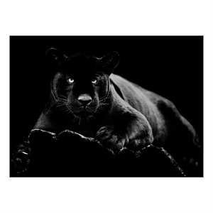 Black Panther Frameless Multi-Color Tempered Glass Wall Art - 60&quot x 40&quot