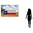 Texas Flag Barn Frameless Multi-Color Tempered Glass Wall Art - 60