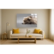 Serene Slumber Frameless Tempered Glass Wall Art - 60