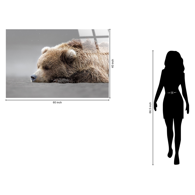 Serene Slumber Frameless Tempered Glass Wall Art - 60