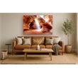 Canyon Art Frameless Tempered Glass Wall Art - 60