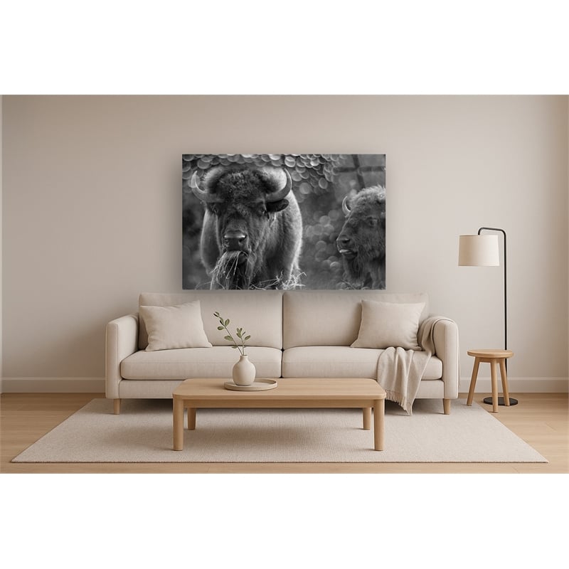 Bison Duo Frameless Tempered Glass Wall Art - 60