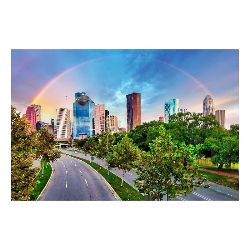 Houston Pot of Gold Frameless Tempered Glass Wall Art - Multicolor