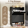 Modern Flip Down Shoe Cabinet with 2 Drawers for Entryway Black