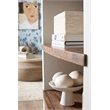 Hooker Furniture Big Sky Veneers Wood Tahoe Etagere in White