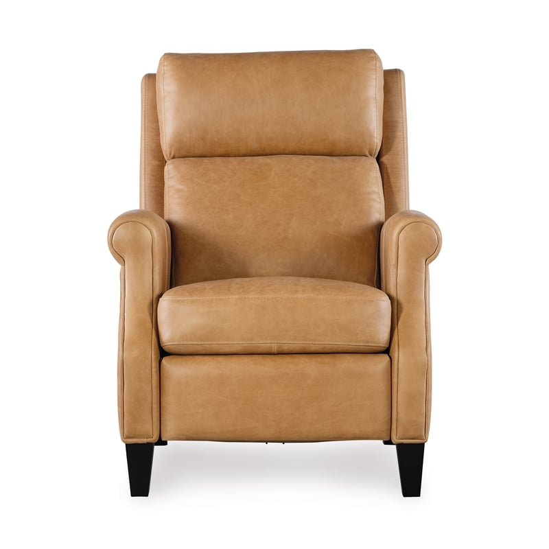 Hooker Furniture Hurley Leather Power Recliner with Power Headrest in Brown