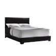 Coaster Conner Twin Upholstered Bed in Black