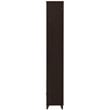 Lewes 4-shelf Engineered Wood Media Tower Cappuccino