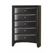 Briana 5-piece Queen Bedroom Set Black