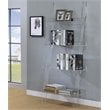 Amaturo 72-inch 4-shelf Acrylic Ladder Bookshelf Clear