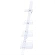 Amaturo 72-inch 4-shelf Acrylic Ladder Bookshelf Clear