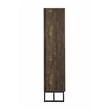 Carolyn 2-door Engineered Wood Accent Cabinet Rustic Oak