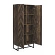 Carolyn 2-door Engineered Wood Accent Cabinet Rustic Oak