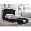 Barzini Upholstered Queen Wingback Bed Black