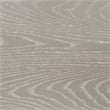 Evangeline Upholstered Twin Daybed Silver Oak
