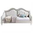 Evangeline Upholstered Twin Daybed Silver Oak