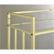 Cara 2-tier Rectangular Glass Shelf Metal Bar Cart Brass