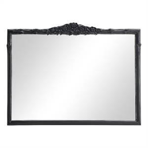 Coaster Sylvie Glass French Provincial Rectangular Mantle Mirror Black