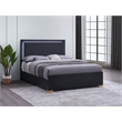 Marceline Wood Queen LED Panel Bed Black