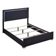 Marceline Wood Eastern King LED Panel Bed Black