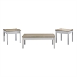 Stacie 3-piece Coffee Table Set Distressed Pine and White