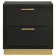 Caraway 2-drawer Nightstand Black