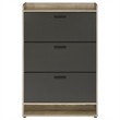 Coaster Denia Contemporary 3-tier Engineered Wood Shoe Cabinet in Gray