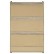 Coaster Denia Contemporary 3-tier Engineered Wood Shoe Cabinet in Gray