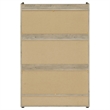 Coaster Denia Contemporary 3-tier Engineered Wood Shoe Cabinet in White