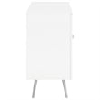 Nieta 2-door Engineered Wood Accent Cabinet White High Gloss