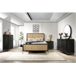 Coaster Arini Coastal 8-drawer Wood Bedroom Dresser in Black