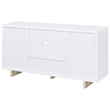 Dalton 2-door Storage Cabinet White and Distressed Pine