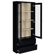 Hawthorne 4-shelf Glass Door Cabinet with Drawers Black