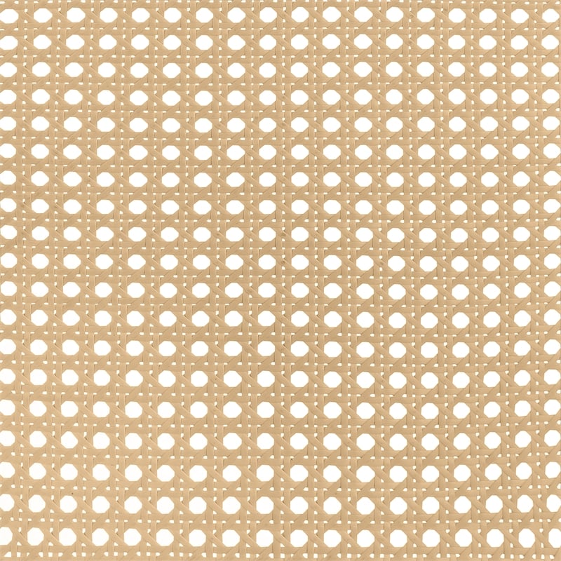 Lanewood Open Cane Webbing Metal Queen Bed Black